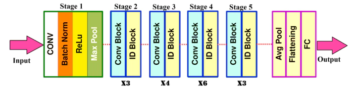 resnet50architektura